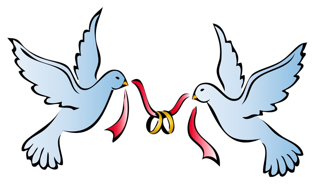 cartoon doves with wedding rings