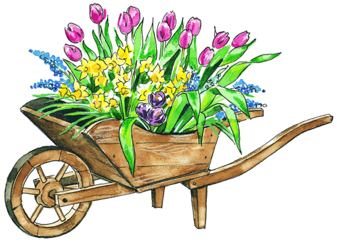 flower wheelbarrow