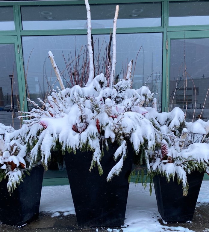 winter scene