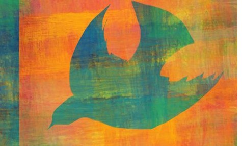 abstract picture of green dove on a field of orange