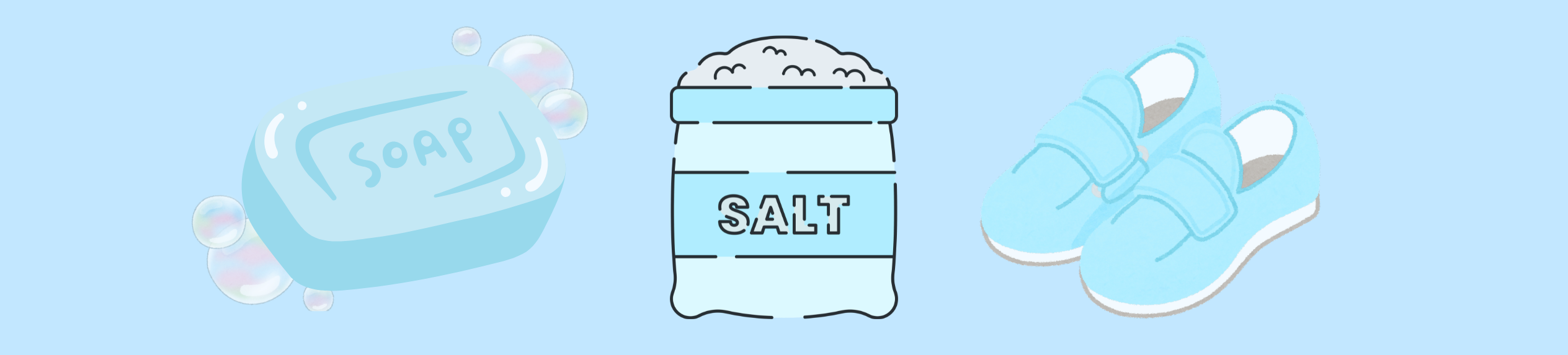 SES Soap Salt Shoes website banner.png